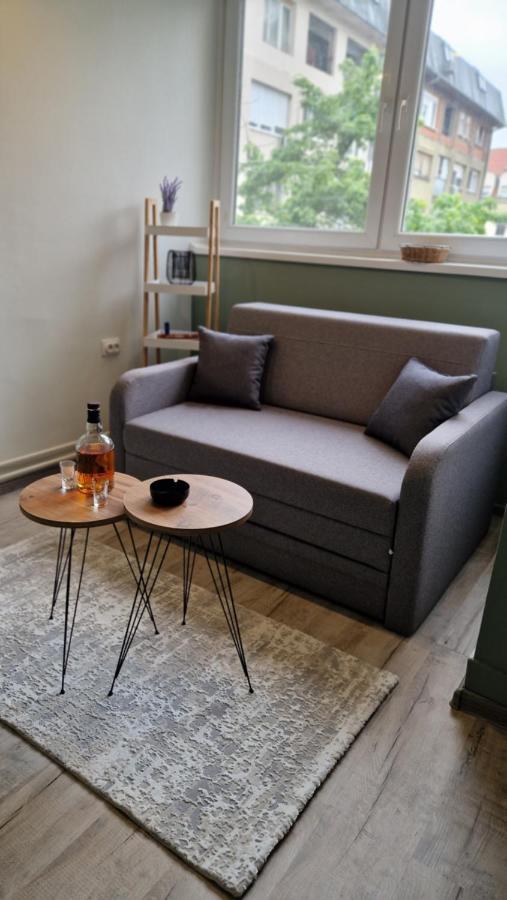 Stan Ideja Apartman Újvidék Kültér fotó